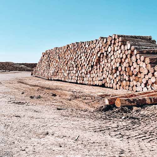 logs stacked