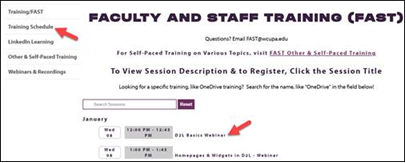 Training & Professional Development