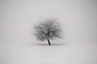 Video: Piano Sonata 'Malcontento': I. Allegro con fuoco