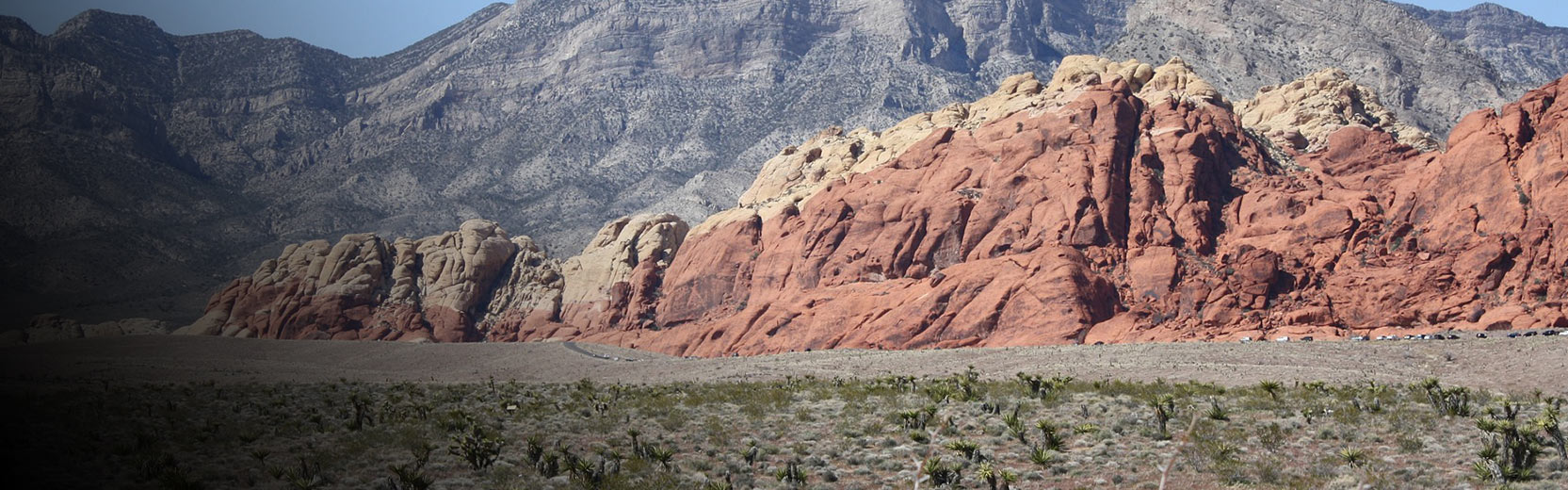 Rocky desert terrain