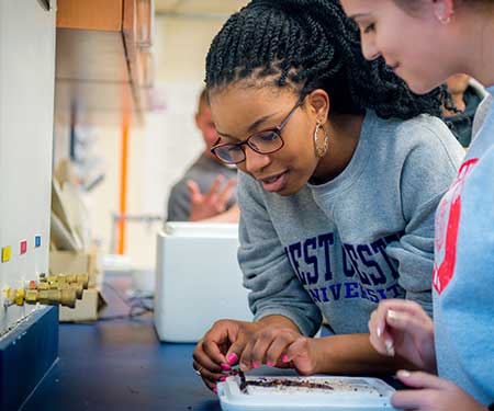 2 female students working at a lab table