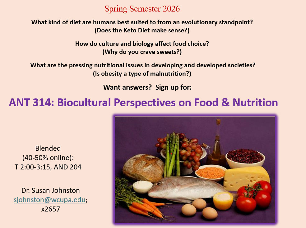             Spring Semester 2026            This Photo by Unknown Author is licensed under CC BY            What kind of diet are humans best suited to from an evolutionary standpoint? (Does the Keto Diet make sense?)            How do culture and biology affect food choice? (Why do you crave sweets?)            What are the pressing nutritional issues in developing and developed societies? (Is obesity a type of malnutrition?)            Want answers? Sign up for:            ANT 314            Biocultural Perspectives on            Food & Nutrition            Blended (40-50% online): T 2-3:15, Anderson 204            Dr. Susan Johnston            sjohnston@wcupa.edu; x2657
