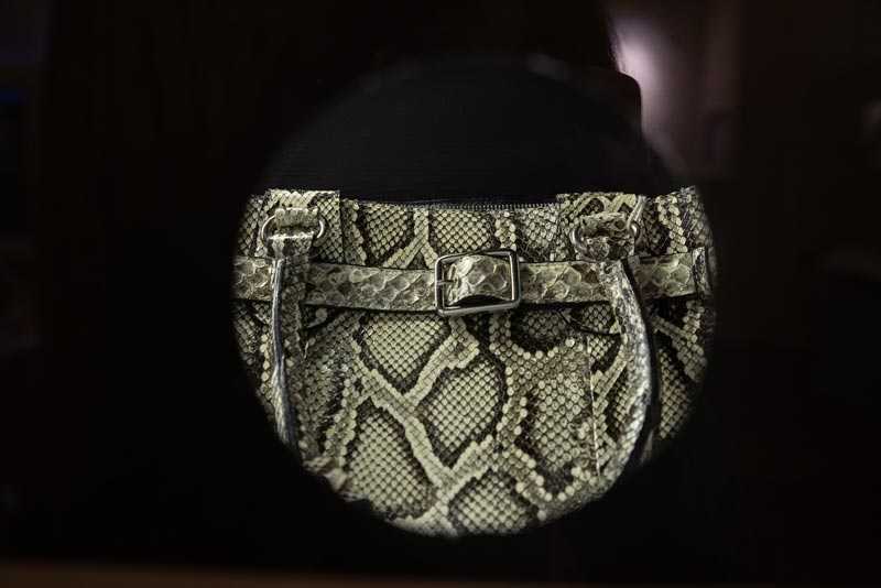 Burmese Python Handbag