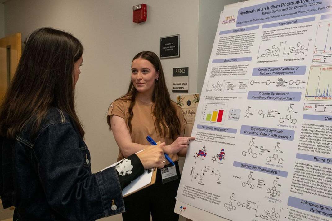 Chemistry poster session