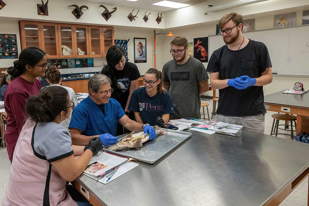 Students working in a group