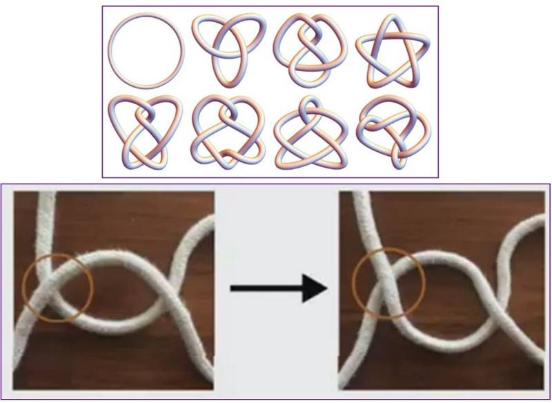 Henrich Fall 2023 Colloquium Knots Picture