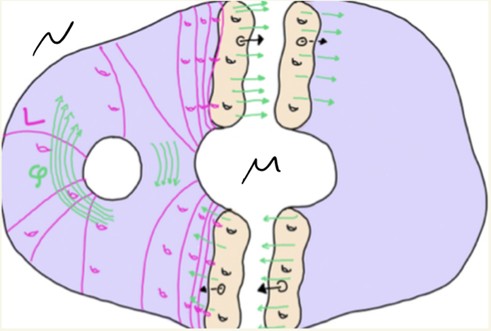Sam Taylor Fall 2025 Colloquium math image