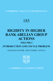 Rigidity in Higher Rank Abelian Group Actions Book Cover