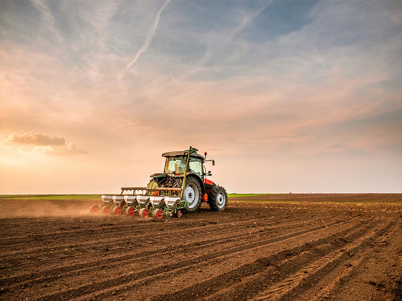 A tractor in a field