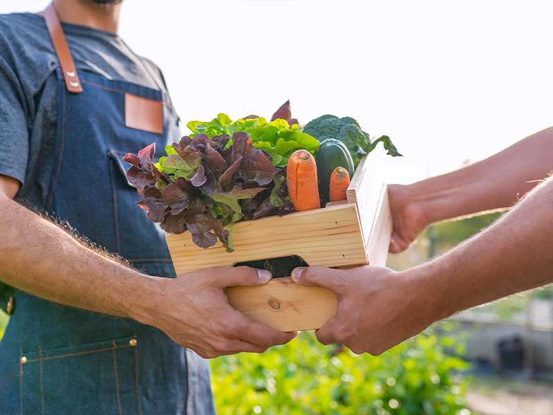 One person passing a basket of leafy greens to another