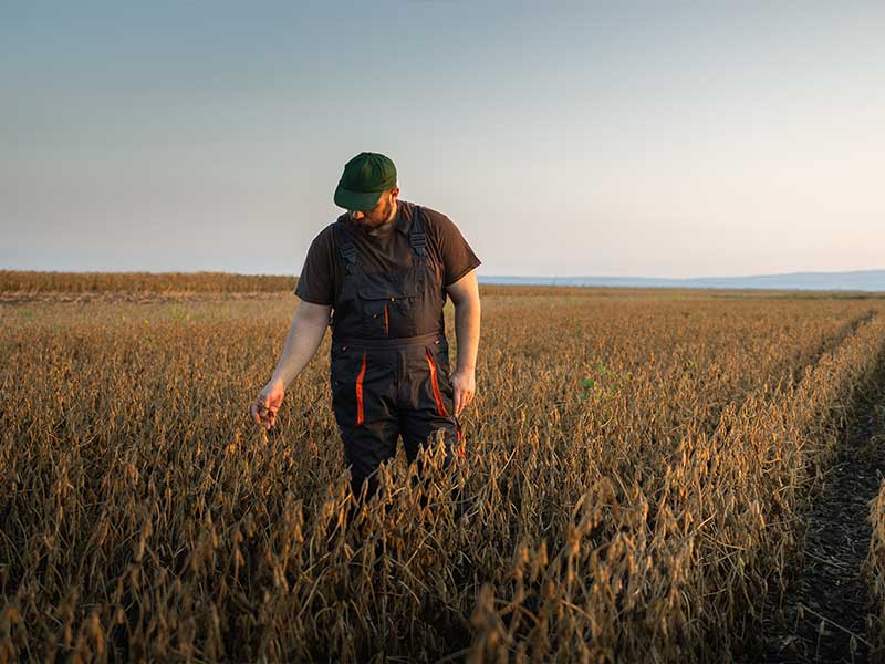 A farmer tending to his fields