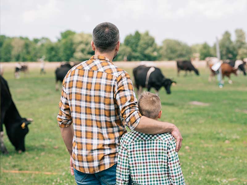 A father with his arm around his sun gazing at their field of cows