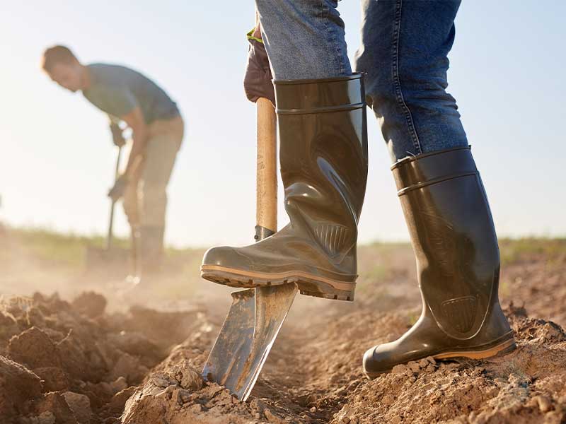 A farmer wearing boots, shoveling the dirt