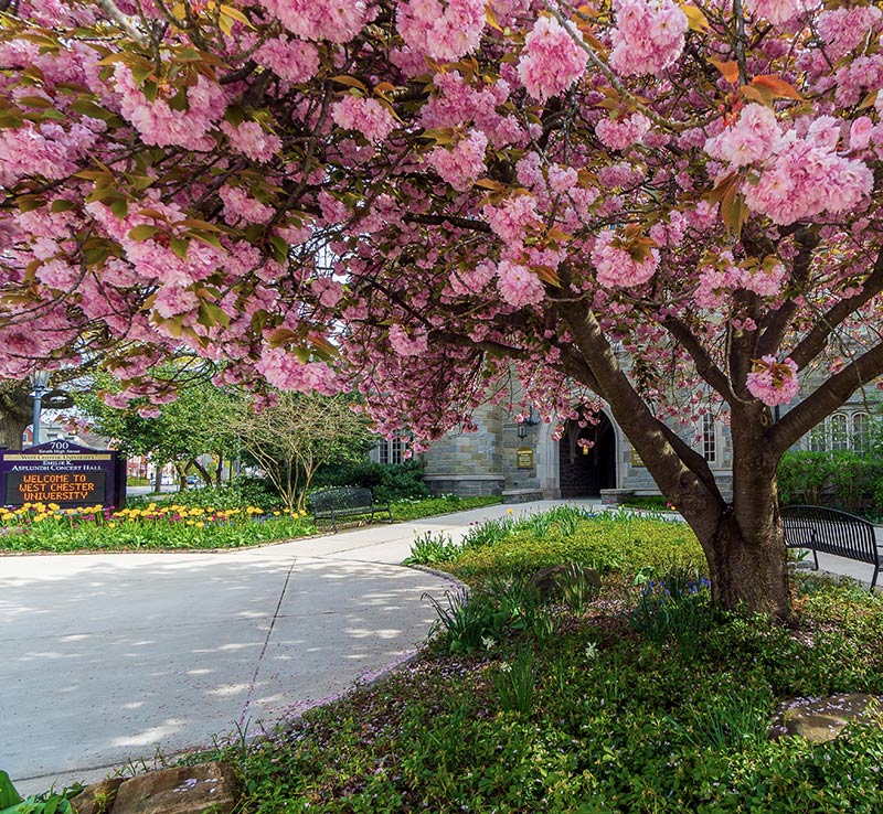 Campus Scenery