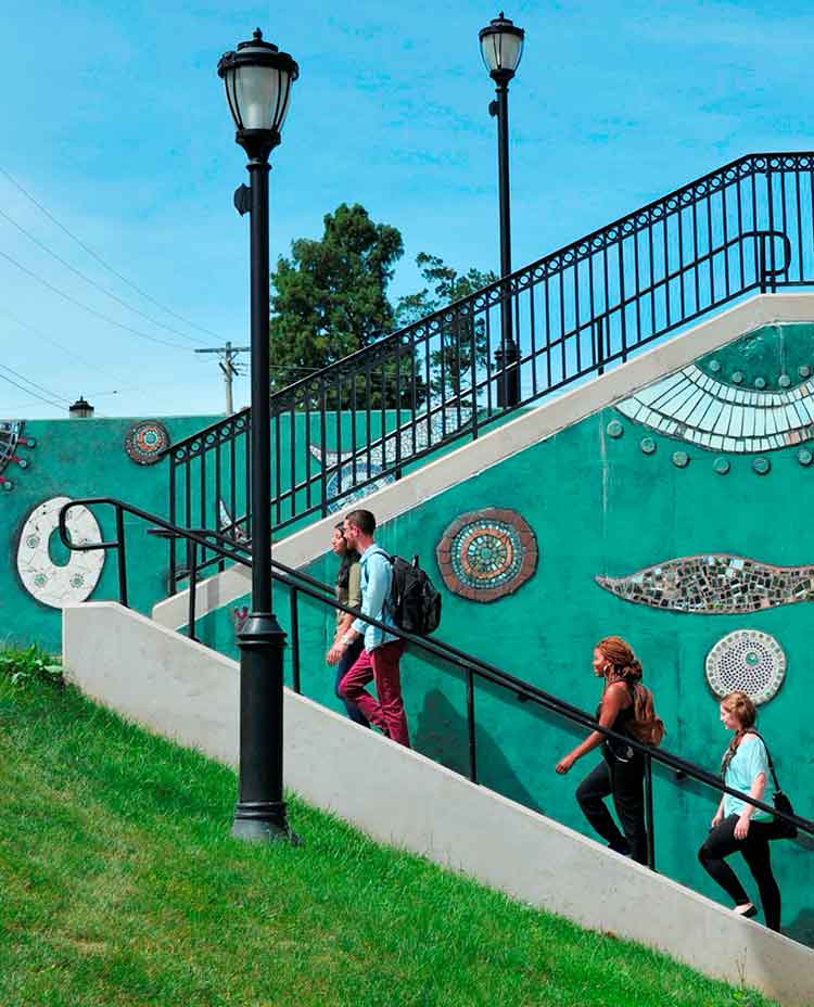 Students walking on steps on campus.