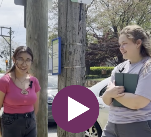 Decorative. Click to view video on Instagram.